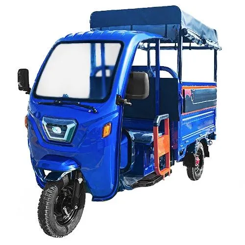 Electric Tricycle For Cargo And Passengers C-600 - Gel PB-60V 80Ah Battery