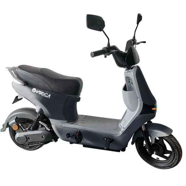 Electric Bike LT 4209 A1 with LiFePO4Mn Battery 48V 30Ah